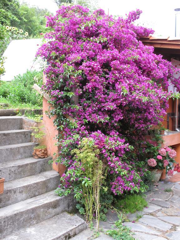 Casa Rural Enkartada Сопуэрта Экстерьер фото